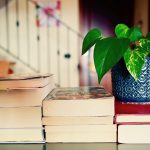 Indoor Plant with Books