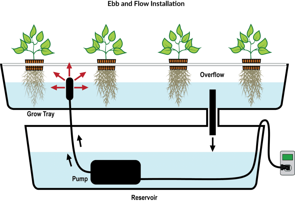 ebb and flow hydroponic system