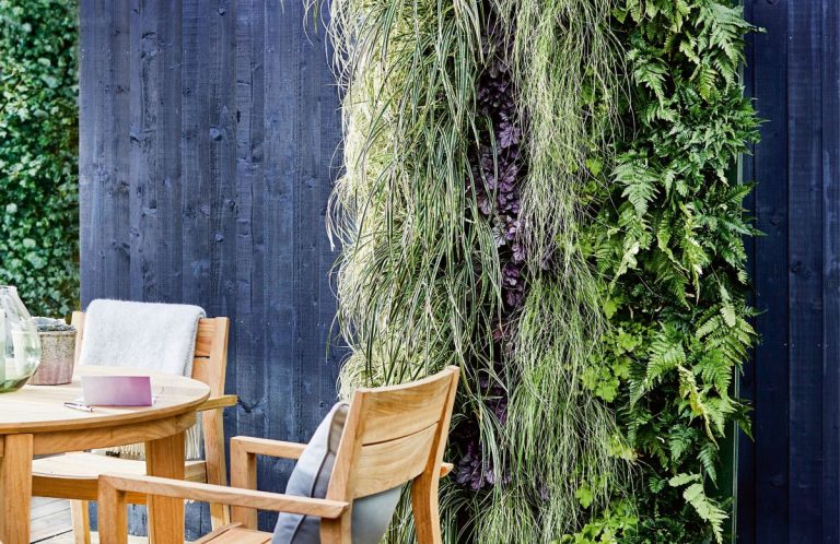 Best Plants for a Stunning Indoor Living Wall